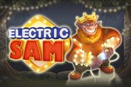 image Electric Sam